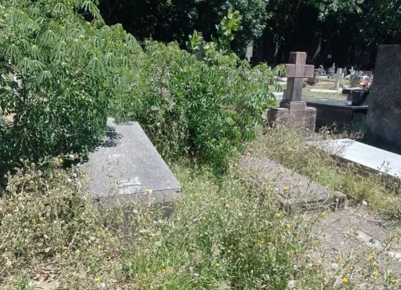 Pasto alto y un abandono evidente: una vecina cuestionó el estado del Cementerio