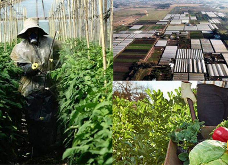 Productores frutihortícolas convocan a una jornada en defensa del INTA en Plaza Malvinas