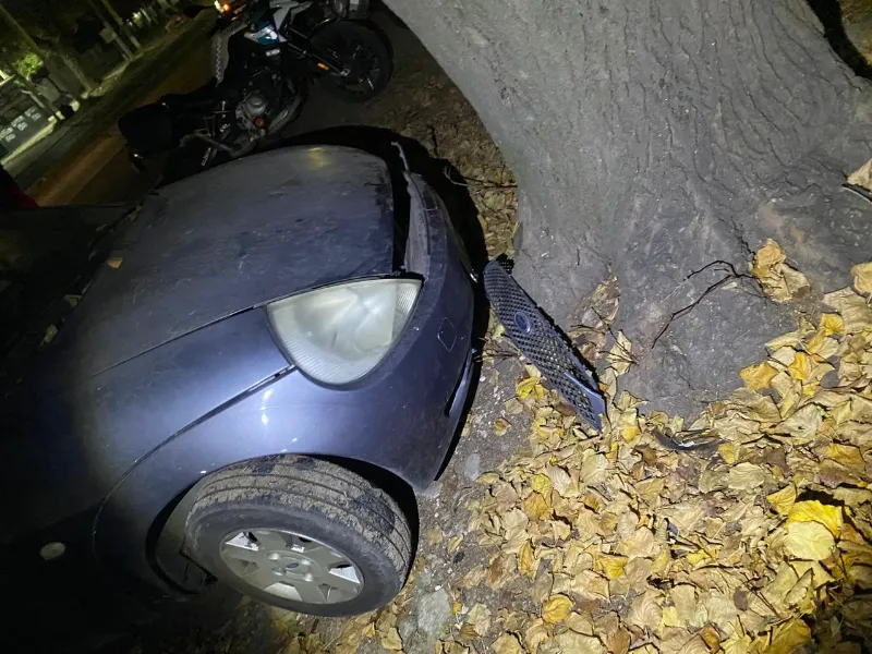 La Policía investiga la participación de un cómplice que logró darse a la fuga.