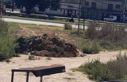 Producto de una limpieza: vecinos piden que retiren montículo de basura