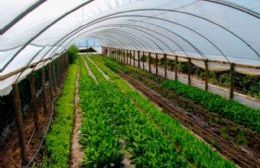 Lanzan un amplio programa de capacitación en buenas prácticas agrícolas para productores del Cordón Florifrutihortícola
