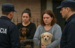 Atados y con sangre: rescatan a varios perritos de una casa y procesan a dos mujeres por maltrato animal
