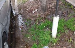 Villa Elvira: varias quejas para ABSA en la zona de Villa Vieyra