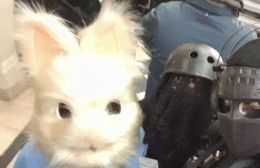 Renata Villarreal, la joven platense que inventó un gaucho furry y causa sorpresa en el mundo del cosplay