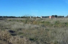 Polémica por lotes: vecinos de Teniente Origone se sienten "estafados" por inmobiliarias