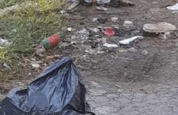 Villa Elvira: pedido de bacheo, luminarias y otros temas en 6 de 90 a 96