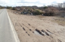 Brandsen: piden retirar desechos a la vera de ruta 215 y llamar a licitación por playón de camiones