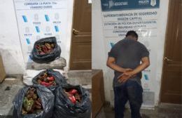 Los Hornos: venezolano fanático por los morrones quiso robar seis bolsas de una quinta