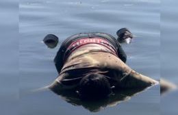 Identificaron al joven hallado muerto en la laguna del Aero Club: la Justicia investiga un suicidio