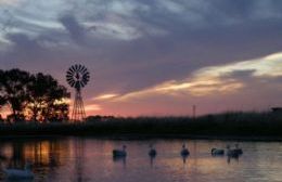 Punta Indio: se llevará a cabo el primer taller sobre conservación y áreas protegidas para el Río Samborombon