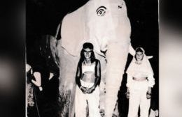 Los corsos de 1982