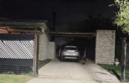 City Bell: un ladrón entró a una casa, redujo a un comerciante y cayó por sus zapatillas