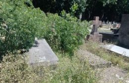 Pasto alto y un abandono evidente: una vecina cuestionó el estado del Cementerio
