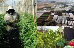 Productores frutihortícolas convocan a una jornada en defensa del INTA en Plaza Malvinas