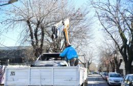 VIDEO | Avanza el plan de remoción de vehículos: cómo solicitar el retiro de un auto abandonado