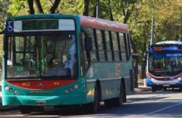 No hay sueldo, no hay micros: La Plata paralizada por falta de acuerdo entre la UTA y empresarios del sector