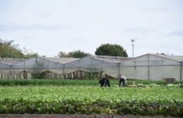 El municipio finalizó el Relevamiento Florihortícola Platense 2025