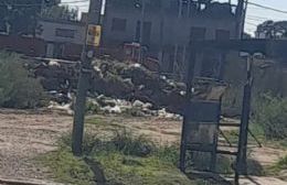 VIDEO | La desidia convirtió un terreno en un basural a cielo abierto en Ruta 11 y 96